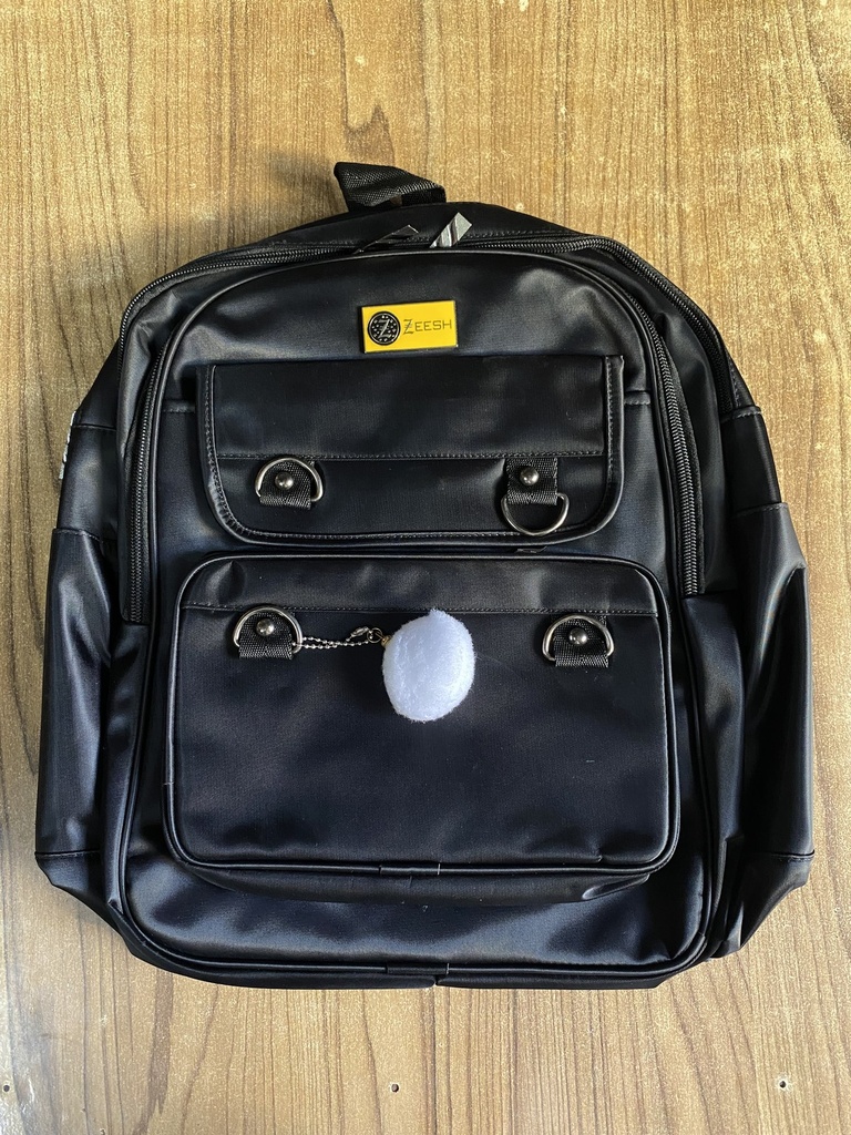 Fancy Bag 